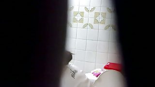 Plump bottomed bunny filmed peeing